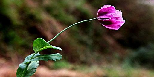 《Dark and Darker》跨平台系统实装 已登陆Steam＆Epic 